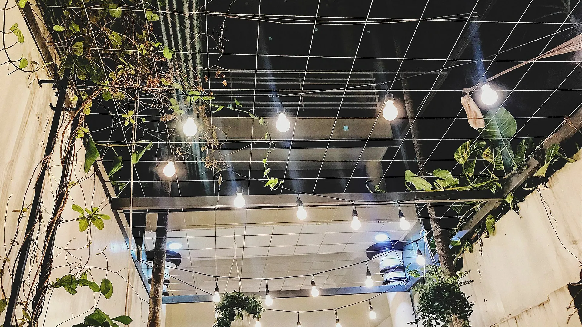 Toto Hostel Da Nang