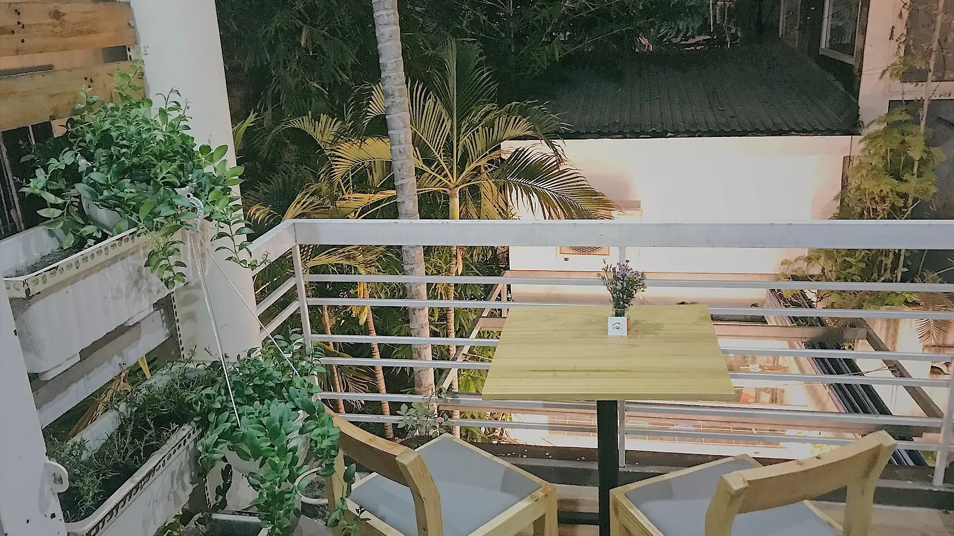 Toto Hostel Da Nang